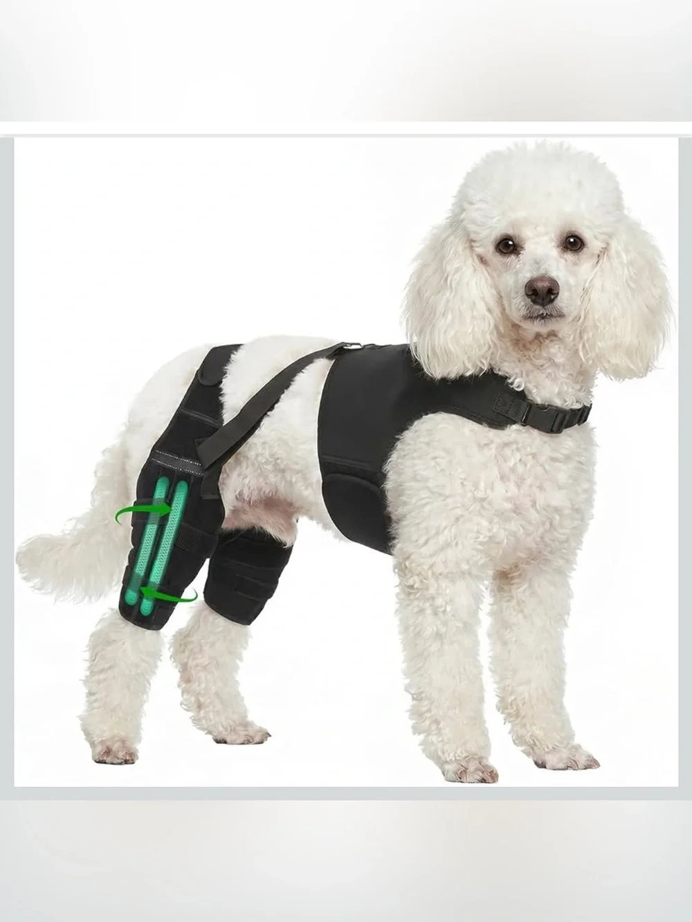 Dog Knee Braces for Back Leg Support,ACL/CCL Brace for Small Dogs,XS 2149-1
